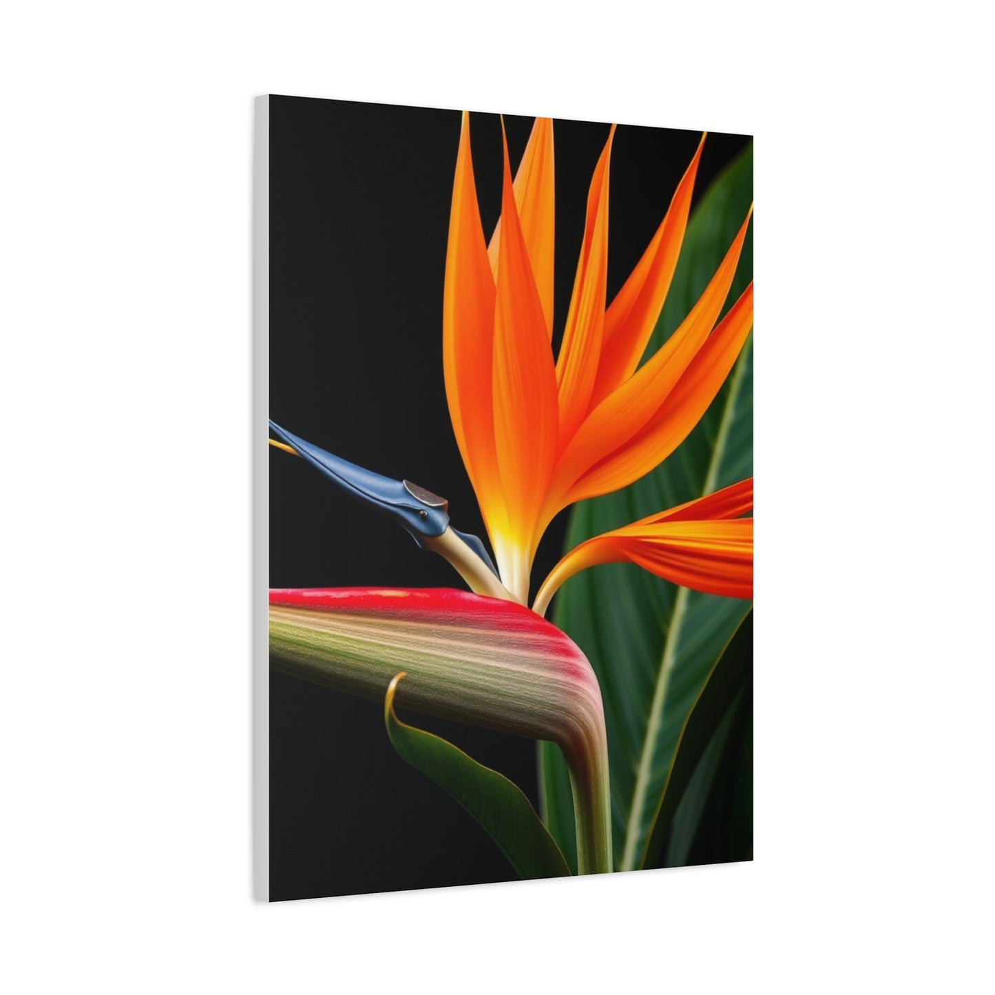 Bird of Paradise Plant Art Supreme Gallery Wall Art & Canvas Print
