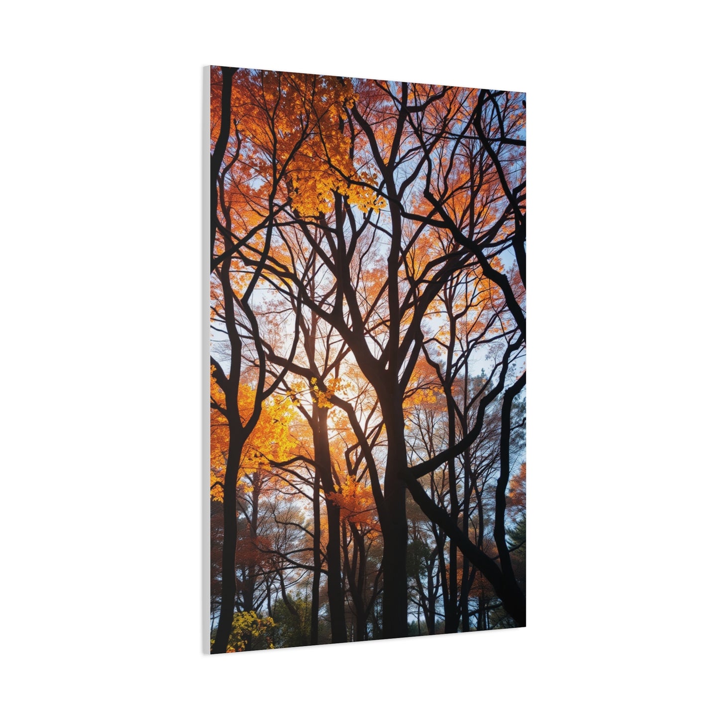 Trees Wall Art Luxury Canvas Wall Art & Canvas Print
