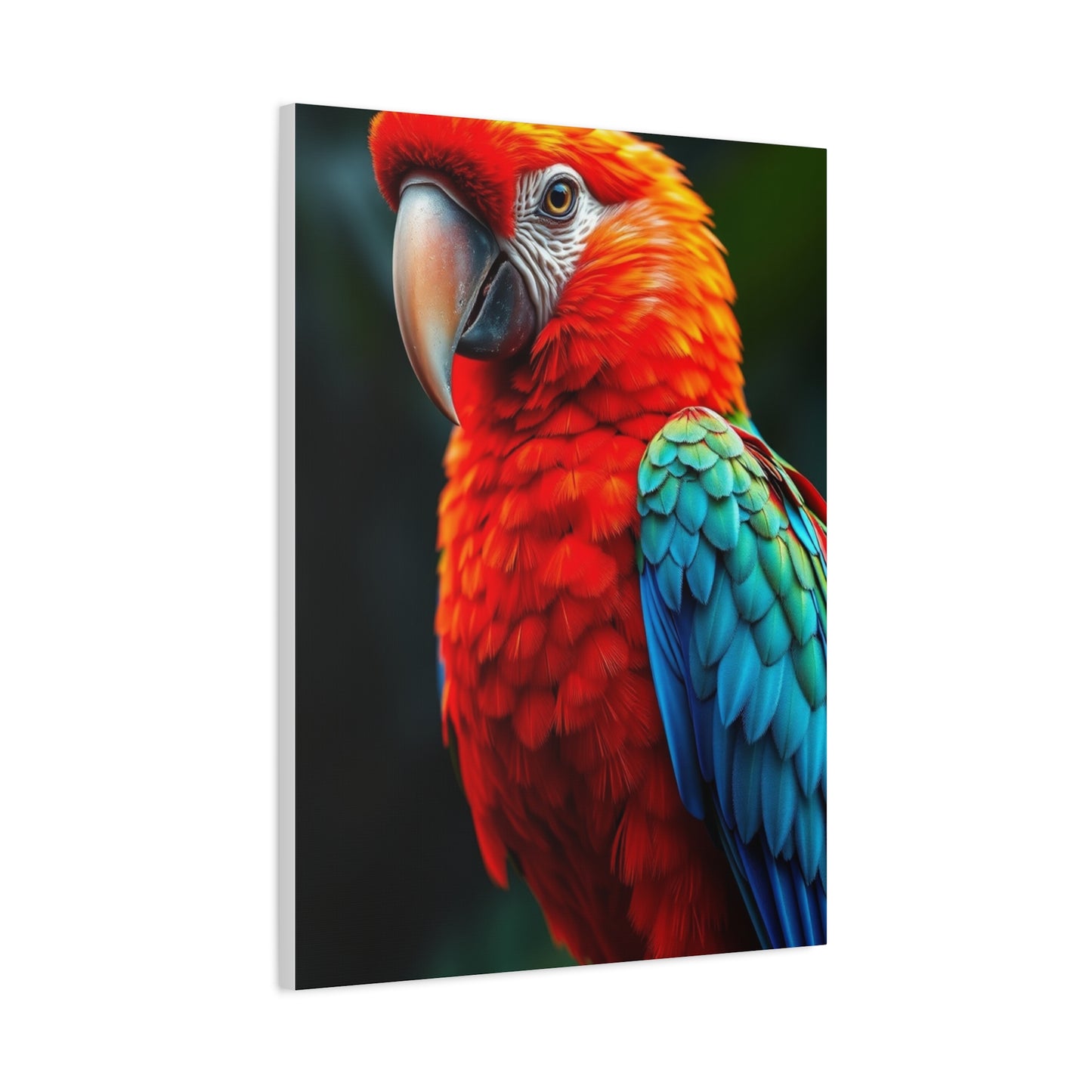 Supreme Tropical Birds Art Beautiful Collection Wall Art & Canvas Print