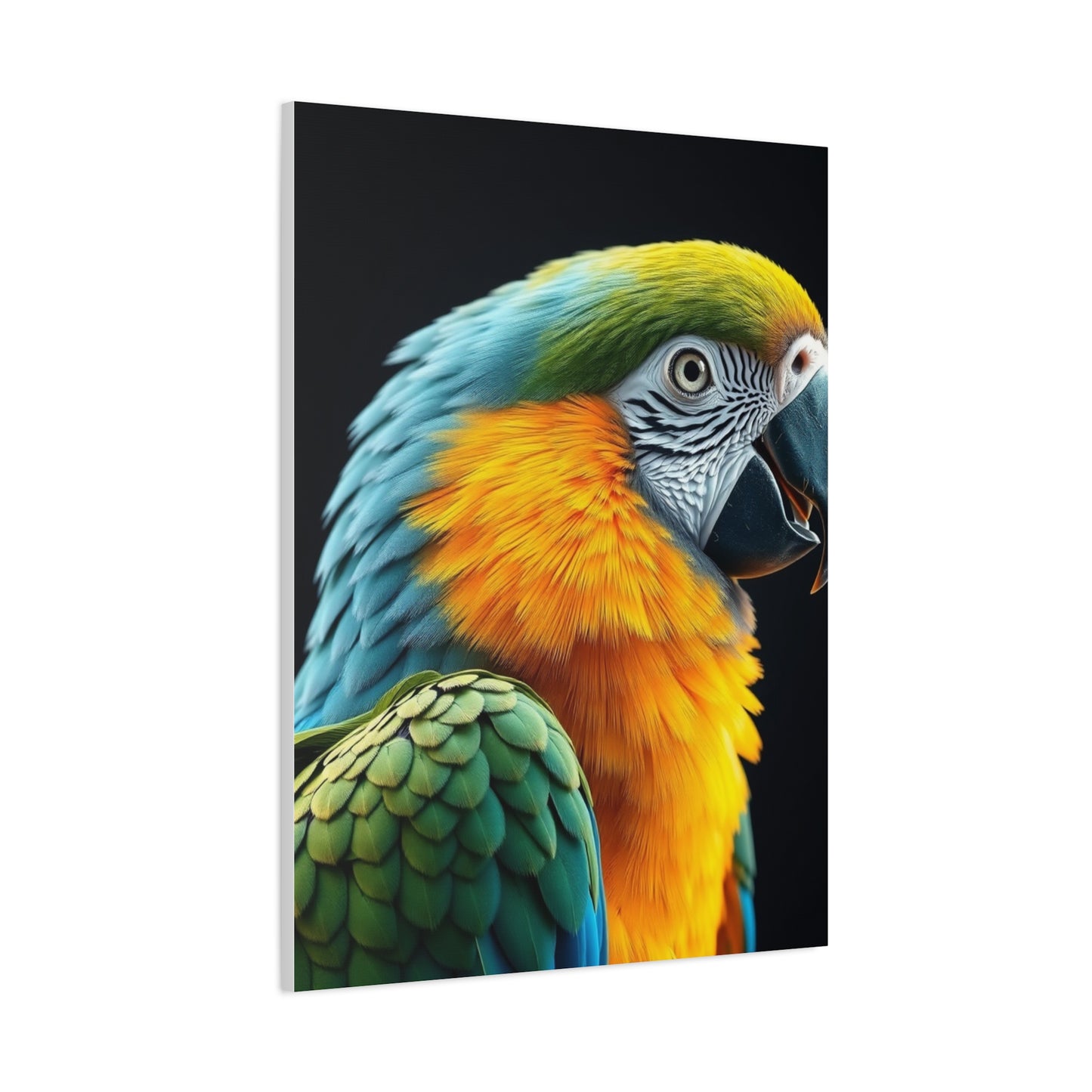 Parrot Art Luxury Canvas Wall Art & Canvas Print