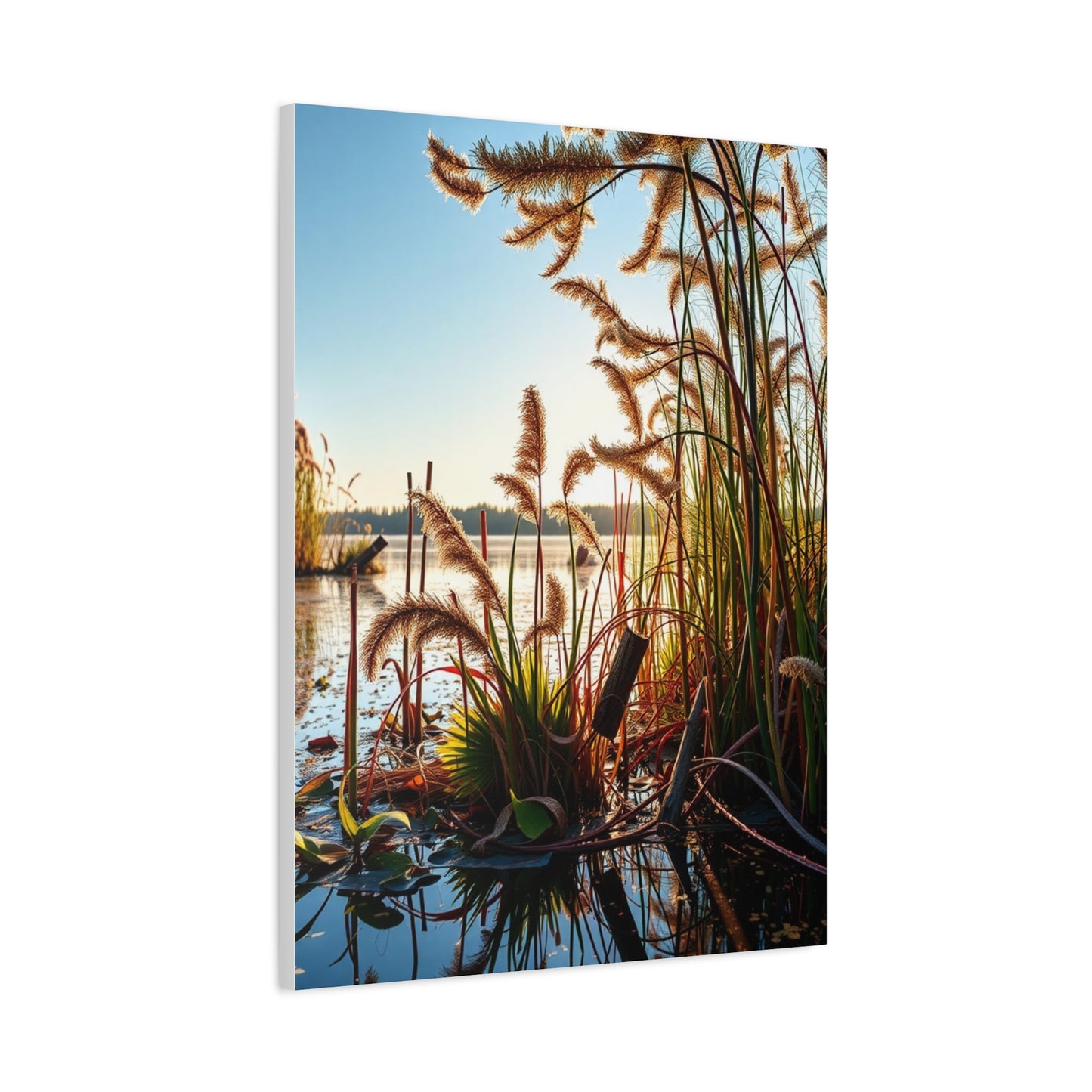 Vision Marsh & Swamp Art Art Wall Art & Canvas Print