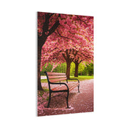 Cherry Blossom Park Bench Serenity Wall Art & Canvas Prints