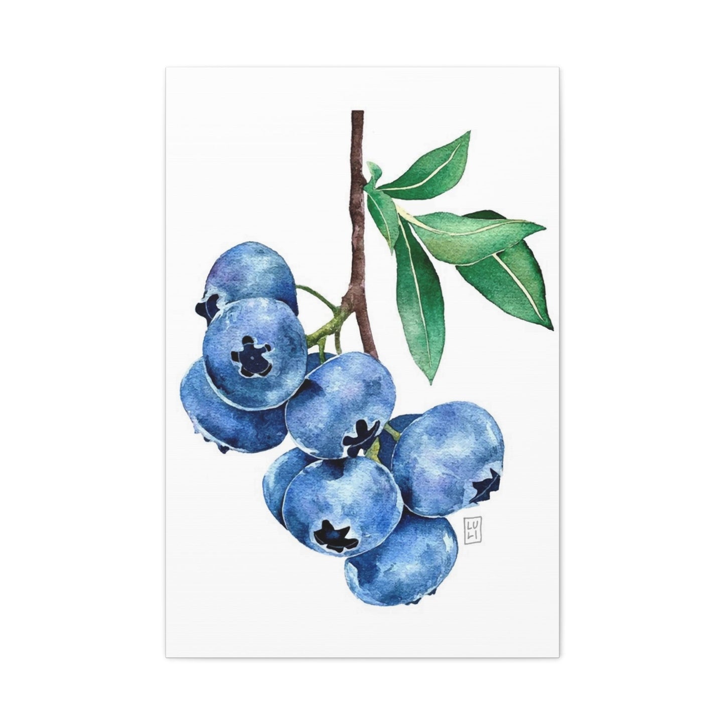 Blueberries Wall Art & Canvas Prints