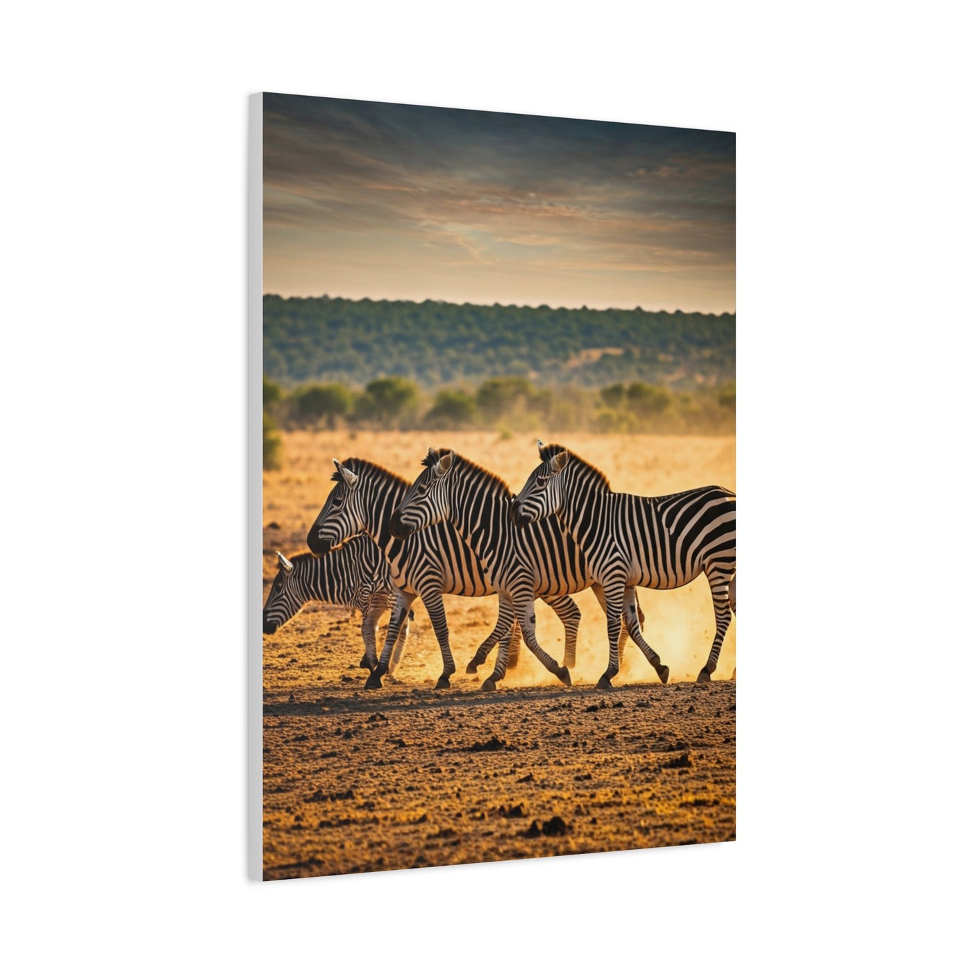 Zebra Duo Walking Across the Savannah Wall Art & Canvas Prints