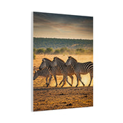 Zebra Duo Walking Across the Savannah Wall Art & Canvas Prints