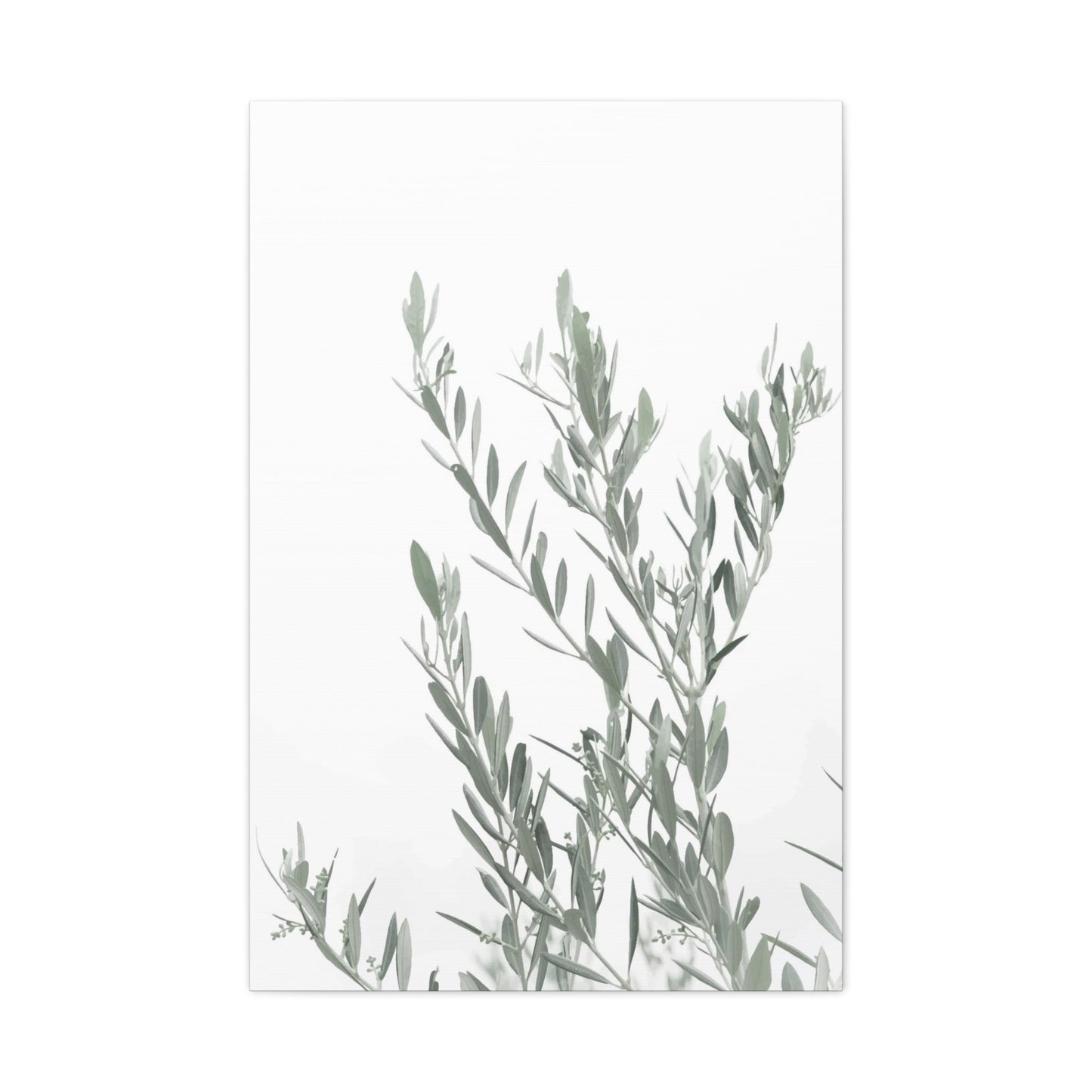 Leafy Wall Art & Canvas Prints