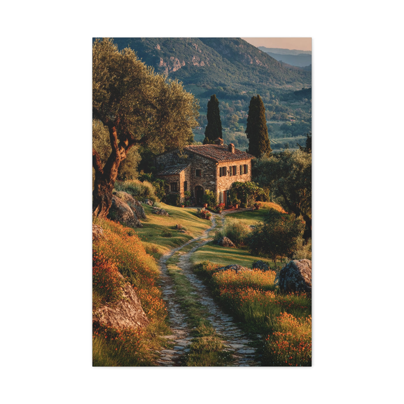Tuscan Green Olive Grove Landscape Wall Art & Canvas Print