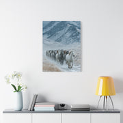 Wild Horse Herd Mountain Run Wall Art & Canvas Print