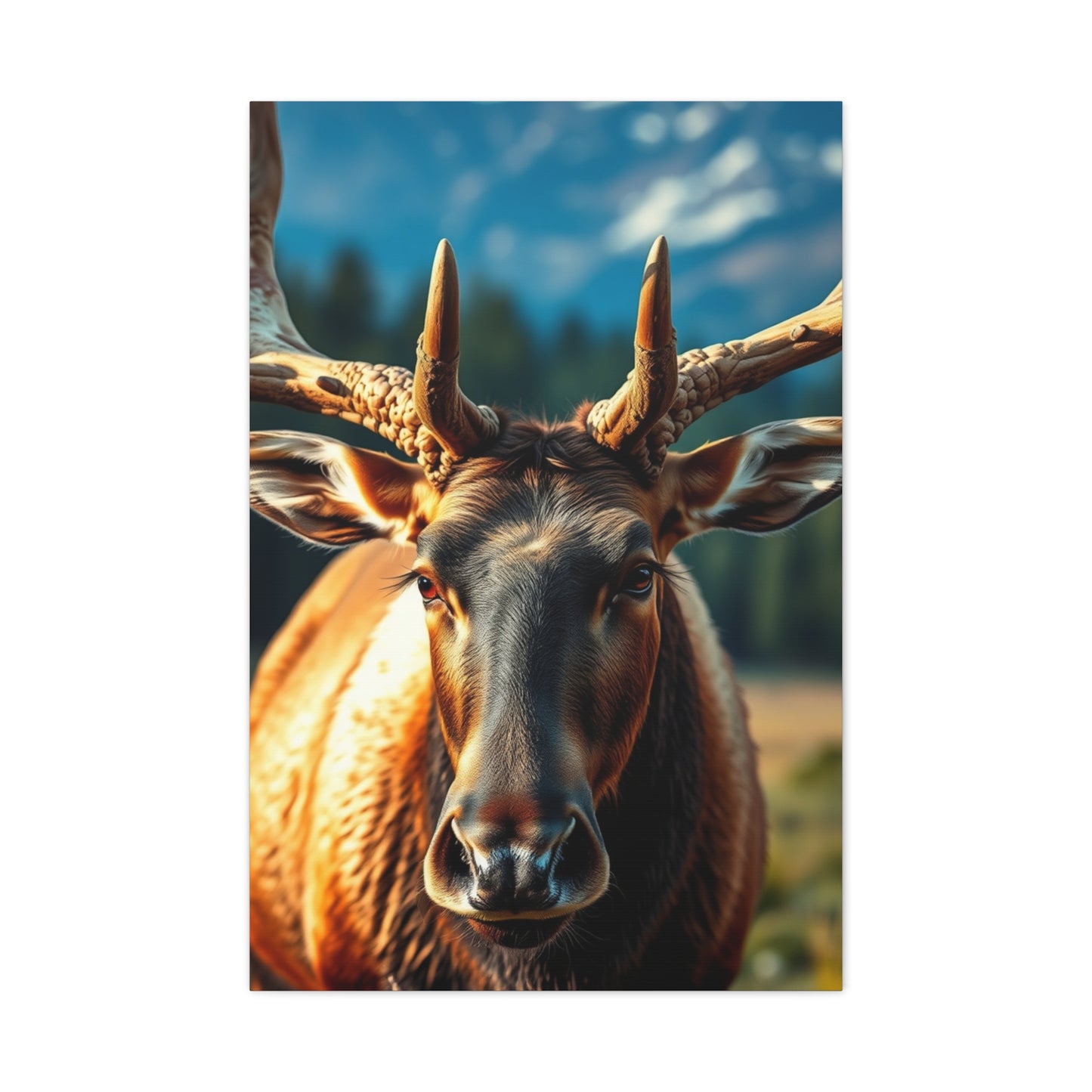Supreme Elk Art Beautiful Collection Wall Art & Canvas Print