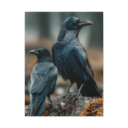 Raven and Crow Portrait – Guardians of the Wild Wall Art & Canvas Print