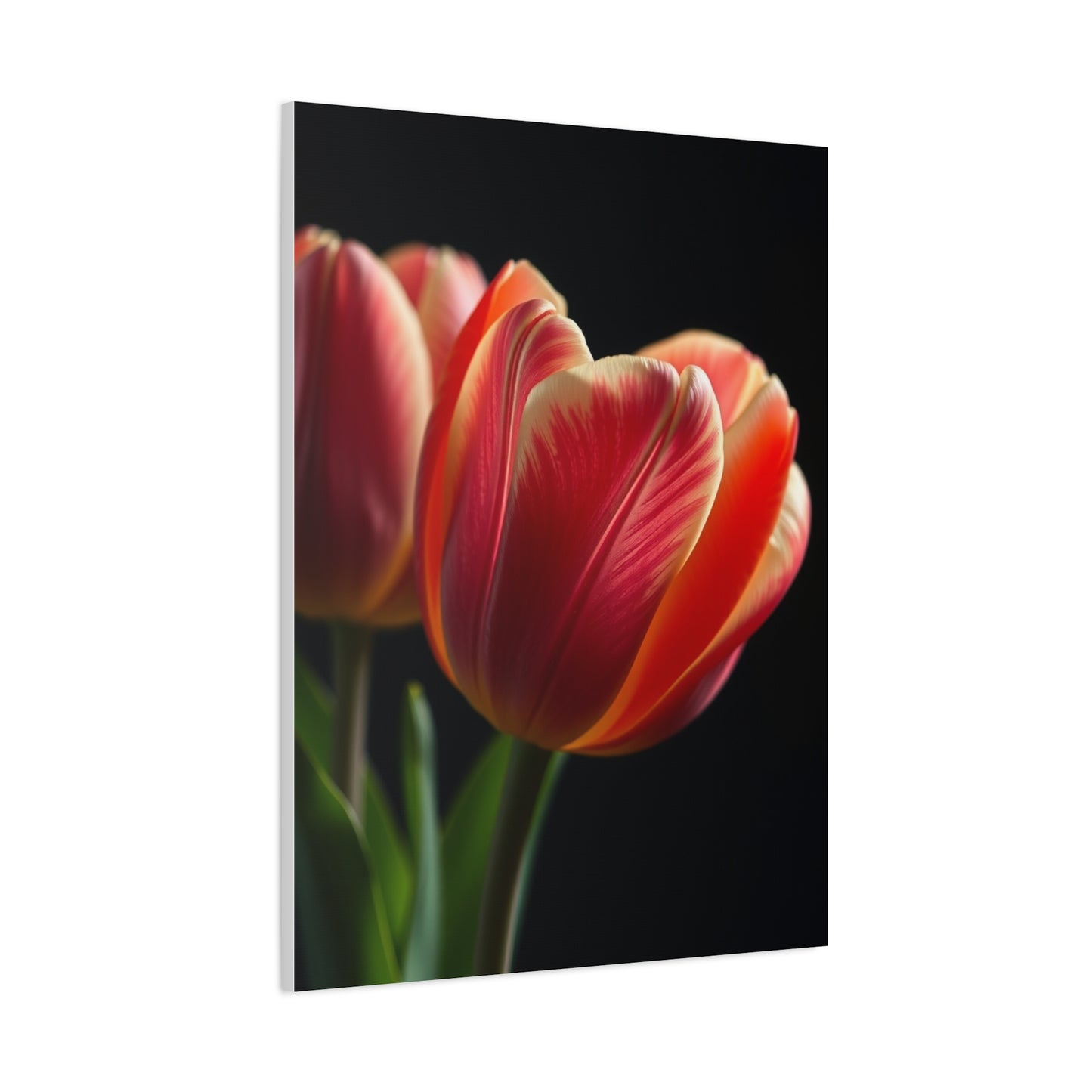 Tulip Flower Art Supreme Canvas Wall Art & Canvas Print