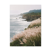 Wind Swept Coastal Cliffs Above the Ocean Wall Art & Canvas Print