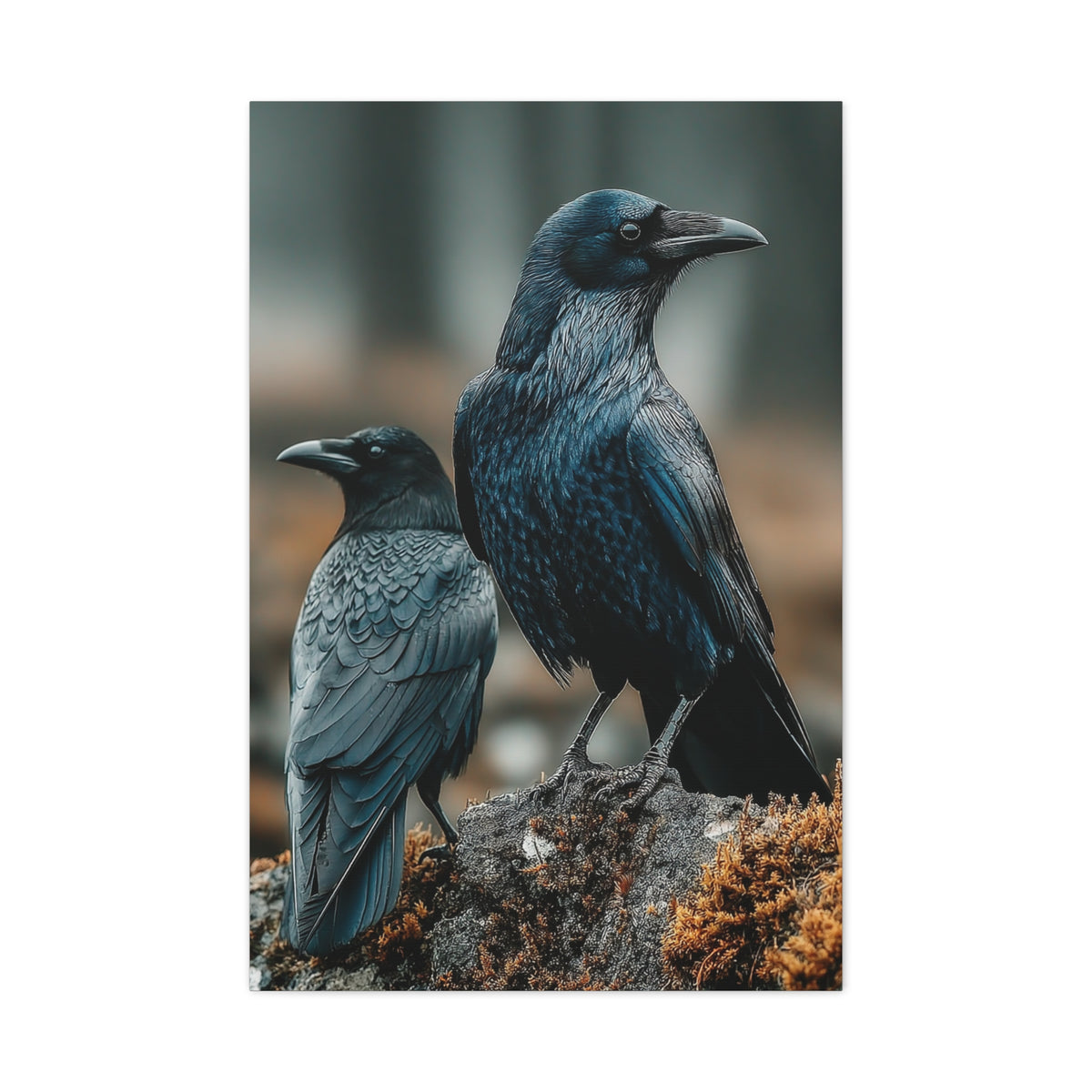 Raven and Crow Portrait – Guardians of the Wild Wall Art & Canvas Print