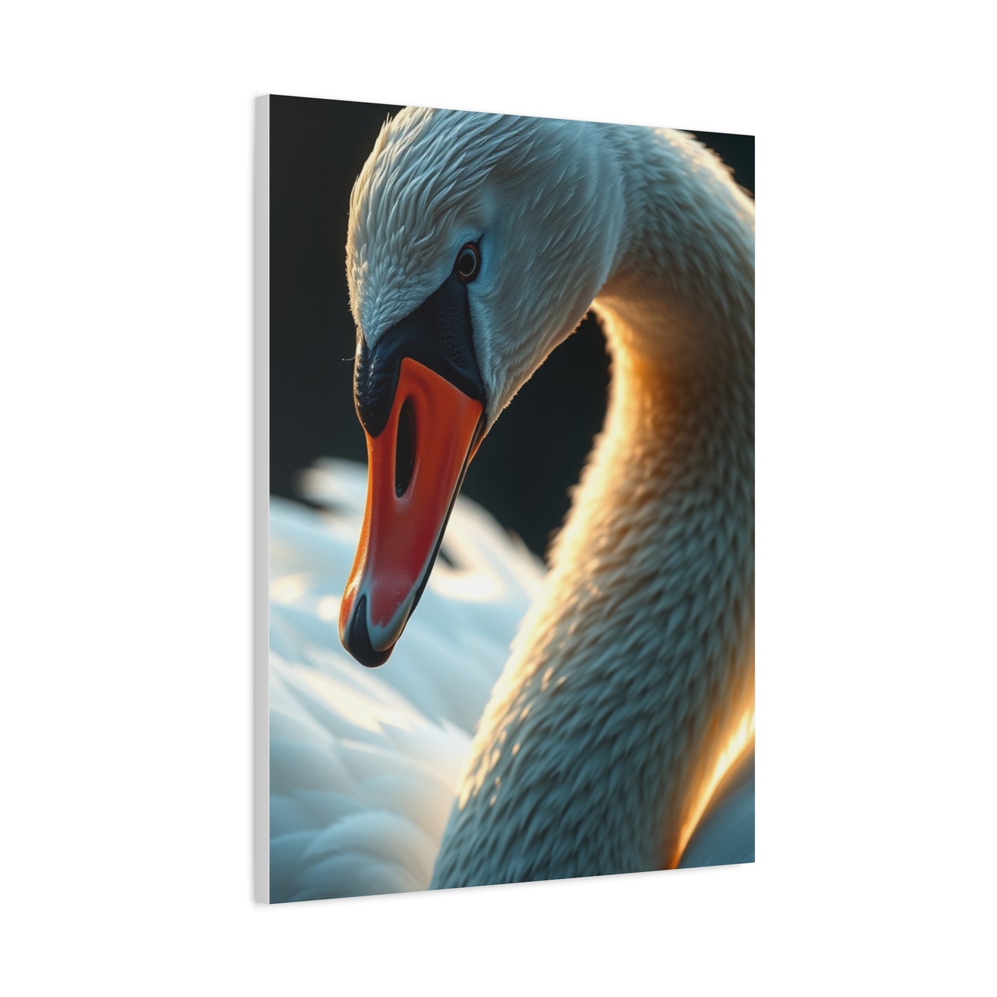 Supreme Swan Art Beautiful Collection Wall Art & Canvas Print