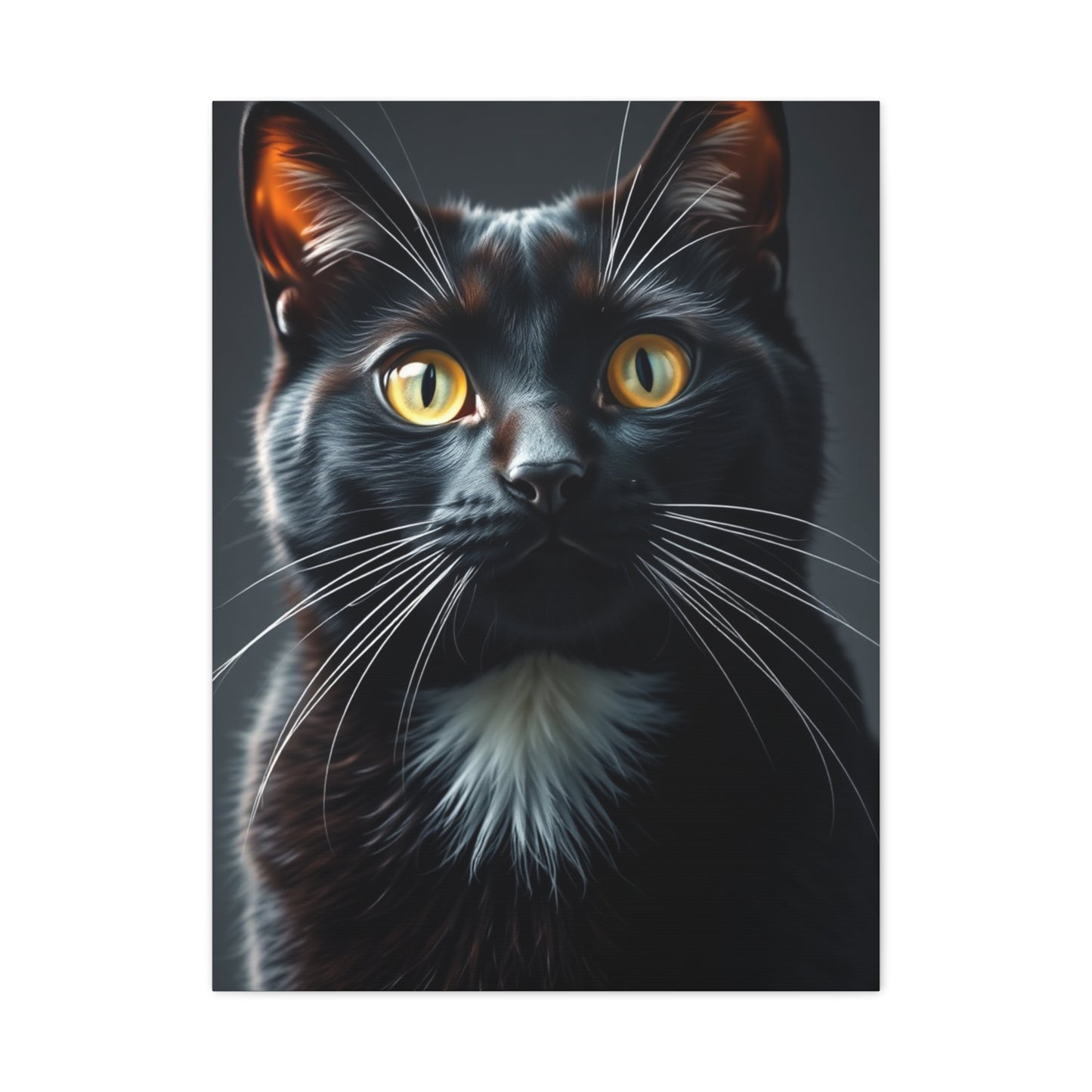 Supreme Tuxedo Cat Art Beautiful Collection Wall Art & Canvas Print