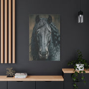 Black Horse Frontal Portrait Wall Art & Canvas Print