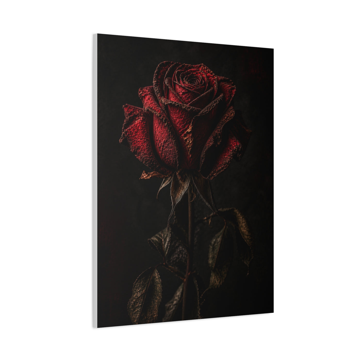 Dark Crimson Rose Still Life Wall Art & Canvas Print