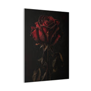 Dark Crimson Rose Still Life Wall Art & Canvas Print