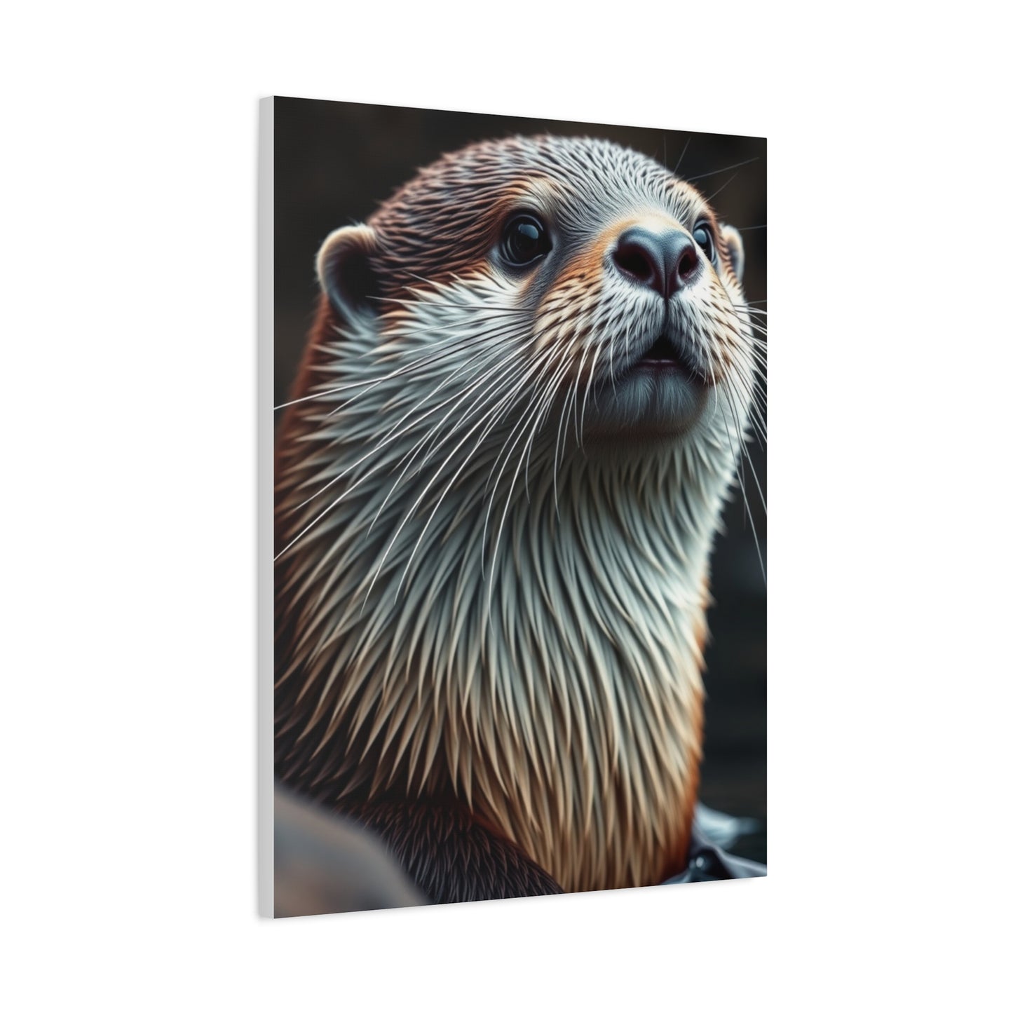 Supreme Otter Art Beautiful Collection Wall Art & Canvas Print