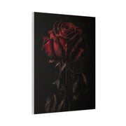 Dark Crimson Rose Still Life Wall Art & Canvas Print