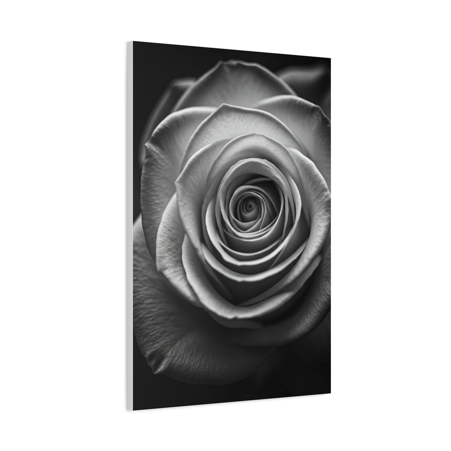 Monochrome Daisy Center Detail Wall Art & Canvas Prints