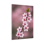 Soft Macro Cherry Blossom Floral Photography Wall Art & Canvas Prints