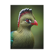 Emerald Crested Turaco Portrait Wall Art & Canvas Prints