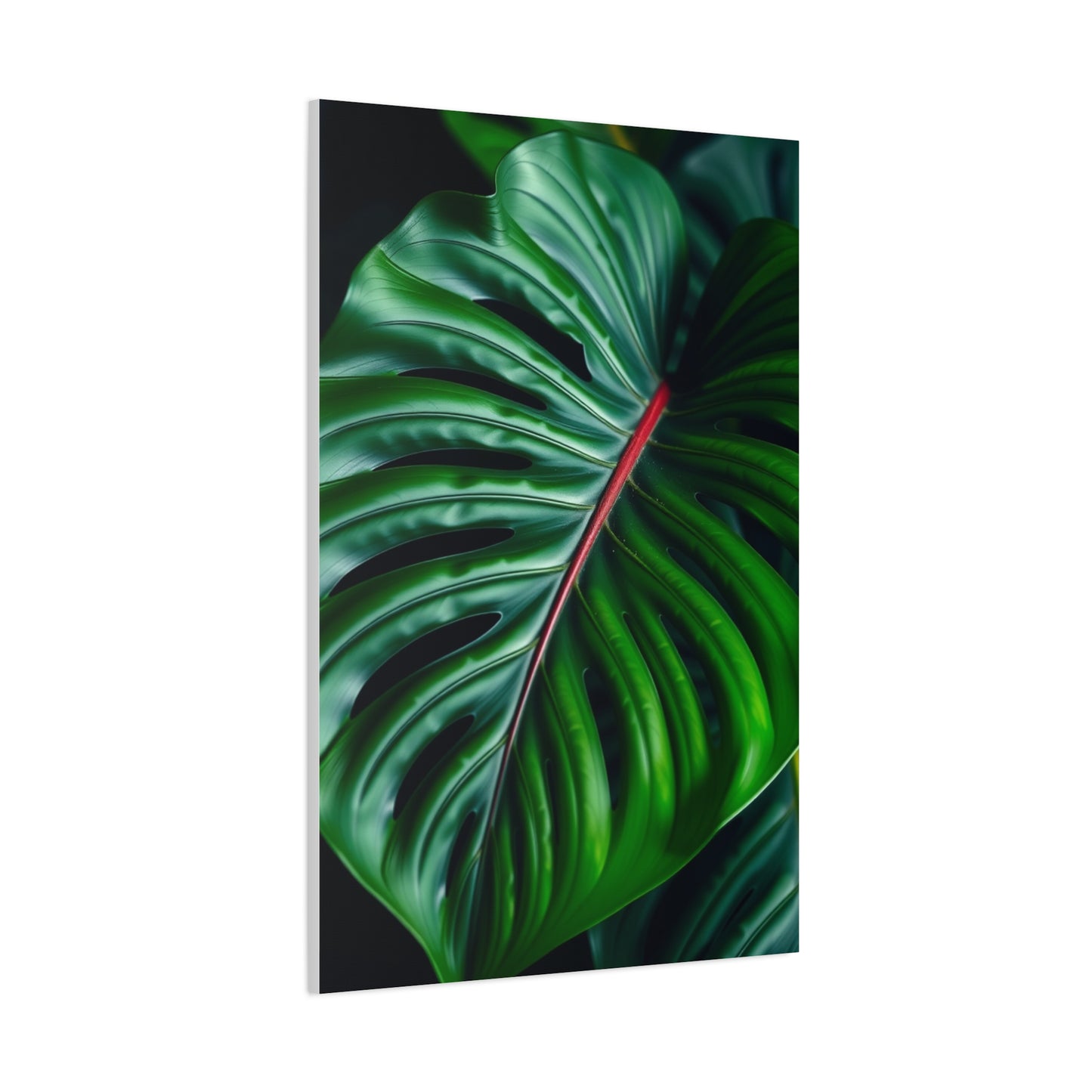 Monstera Plant Art Supreme Canvas Wall Art & Canvas Print