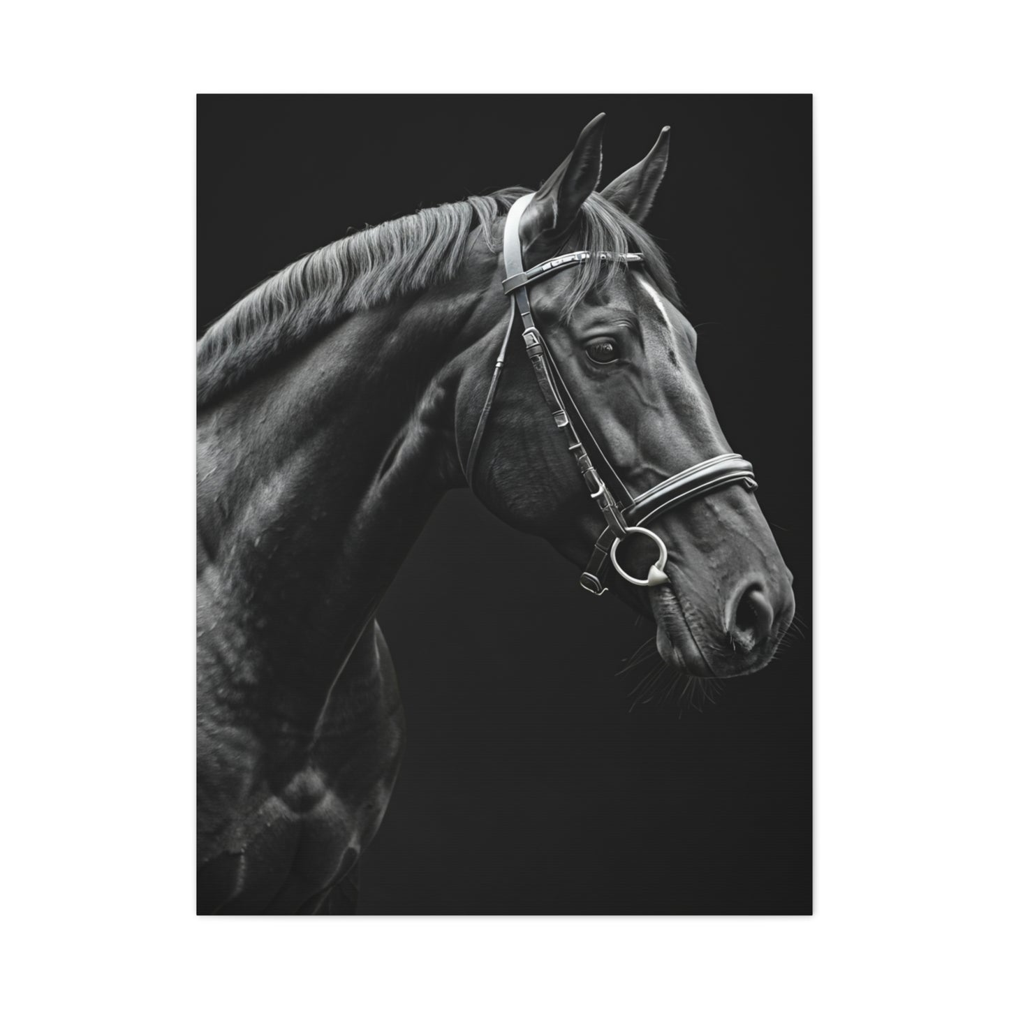Elegant Black Stallion Profile Wall Art & Canvas Prints