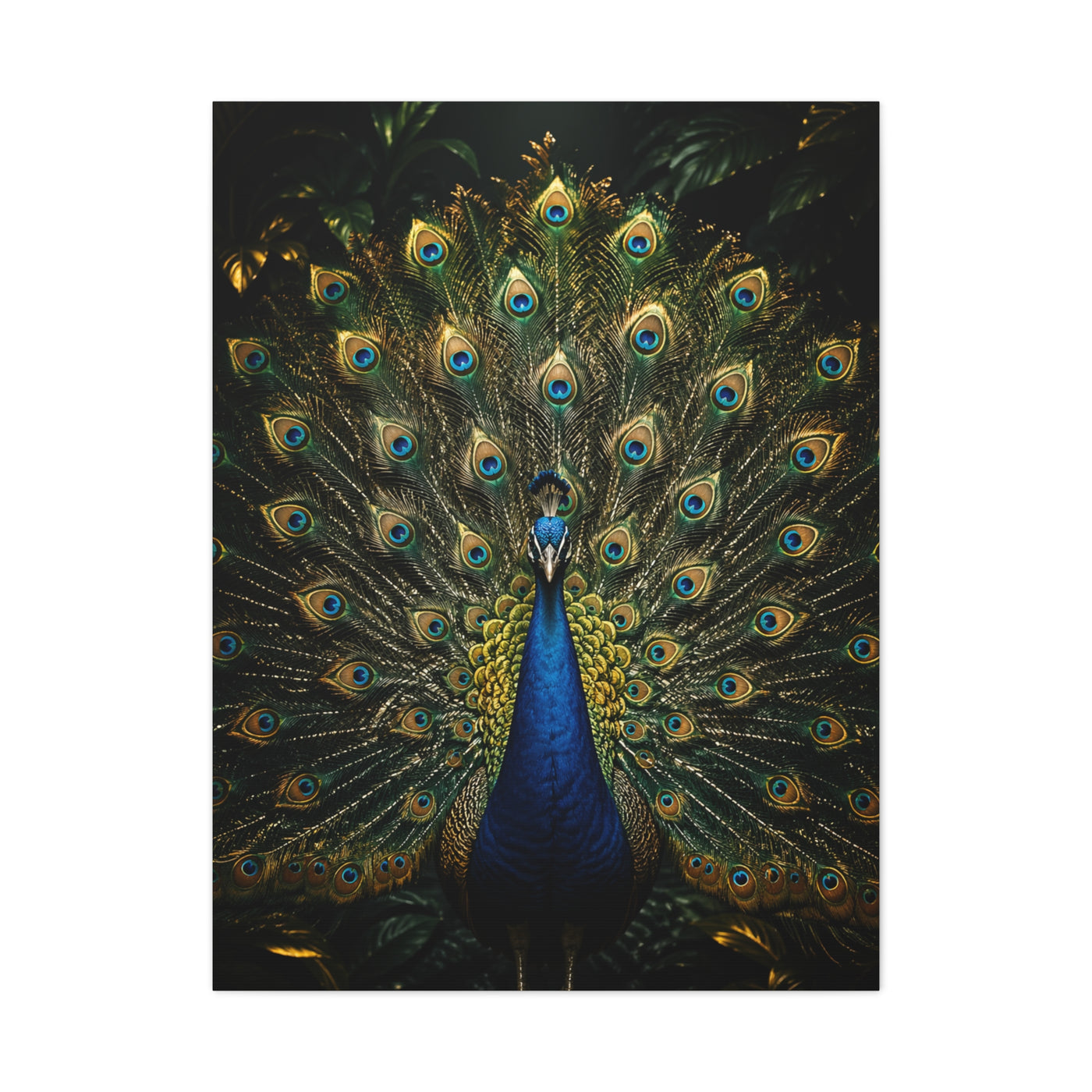 Opulent Jungle Peacock Display Wall Art & Canvas Print