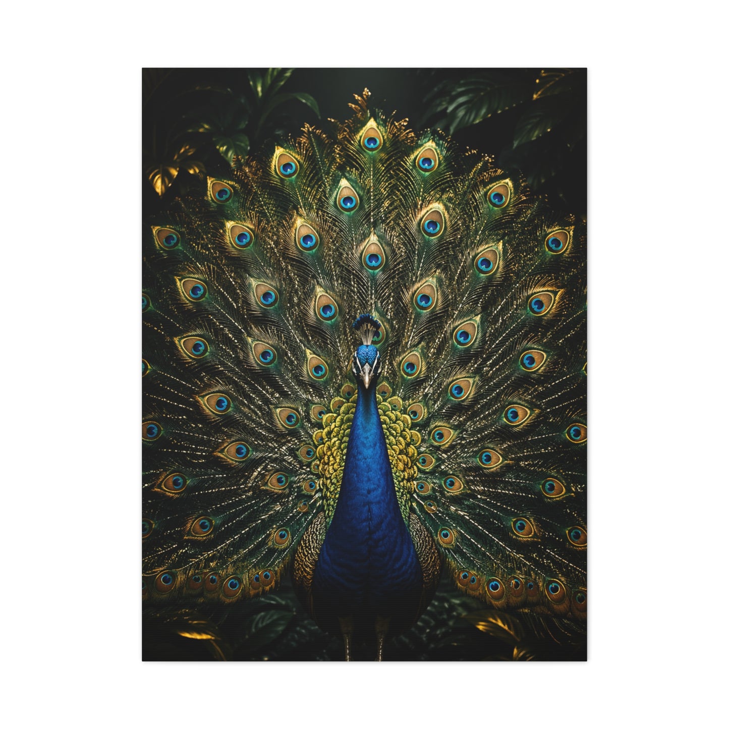 Opulent Jungle Peacock Display Wall Art & Canvas Print