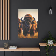 Bison Herd Leader in Golden Field Wall Art & Canvas Print