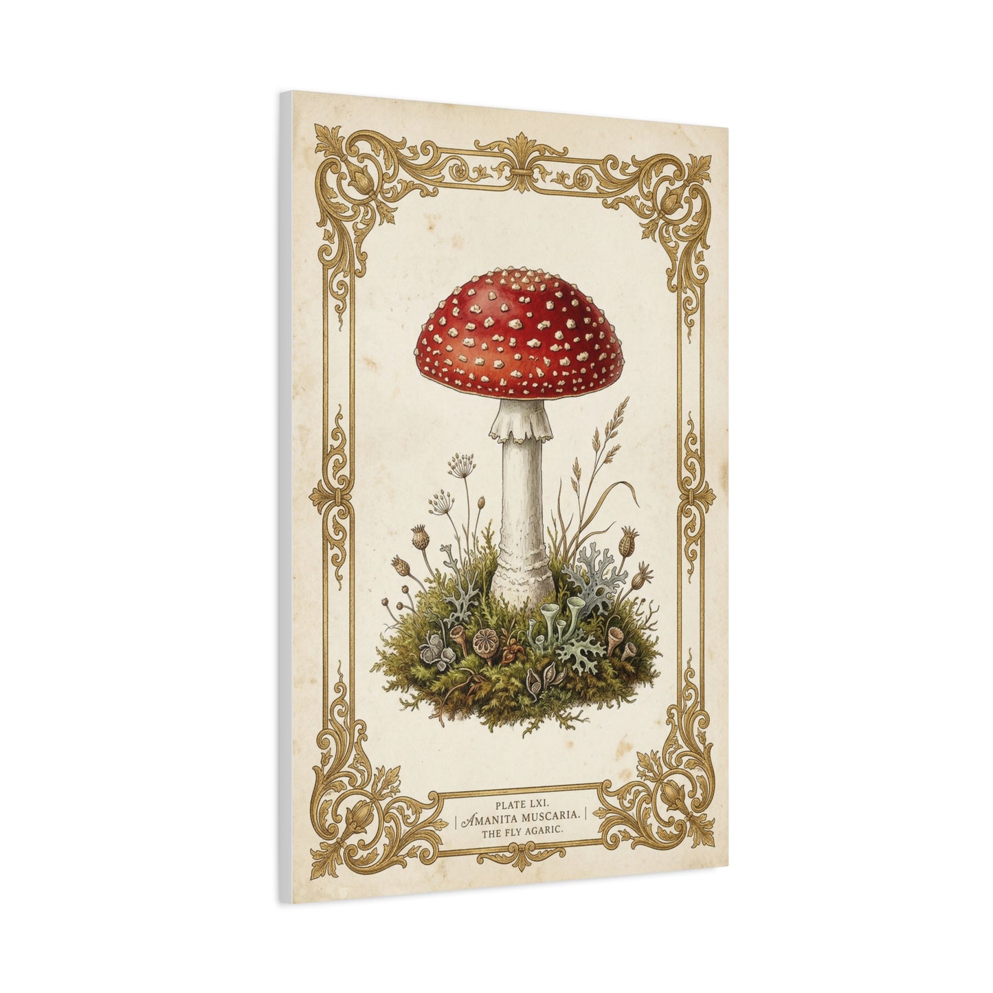 Victorian Botanical Mycology Plate Wall Art & Canvas Print