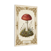 Victorian Botanical Mycology Plate Wall Art & Canvas Print