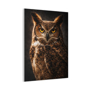Great Horned Owl Portrait Studio Wall Art & Canvas Print