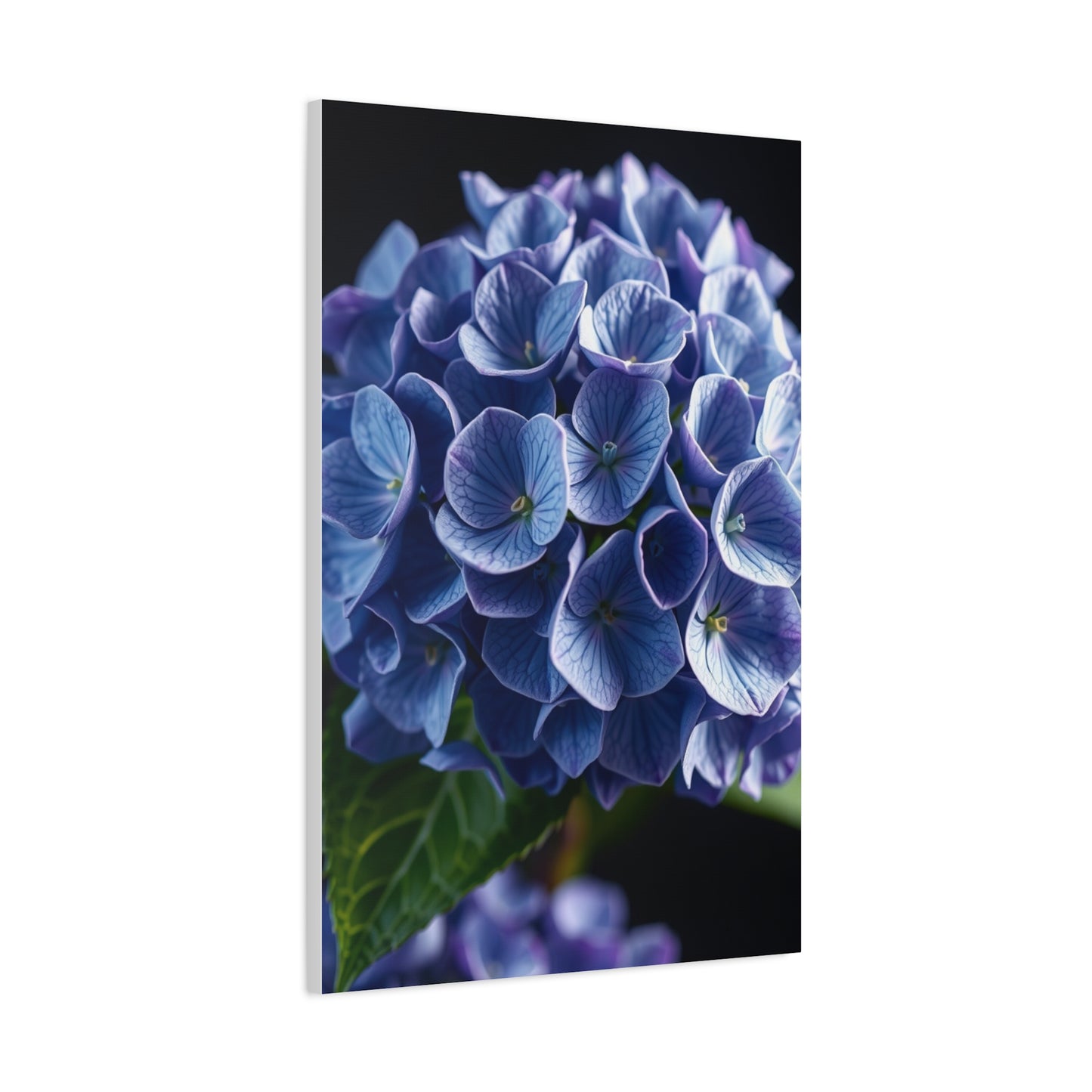 Hydrangea Flower Art Supreme Gallery Wall Art & Canvas Print