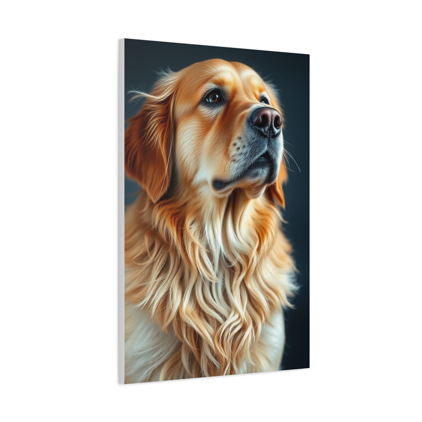 Golden Retriever Art Luxury Canvas Wall Art & Canvas Print