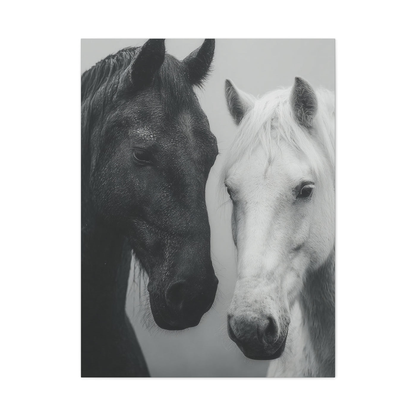 Intimate Dual Horse Monochrome Wall Art & Canvas Print