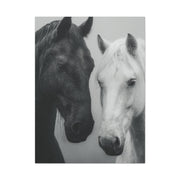 Intimate Dual Horse Monochrome Wall Art & Canvas Print
