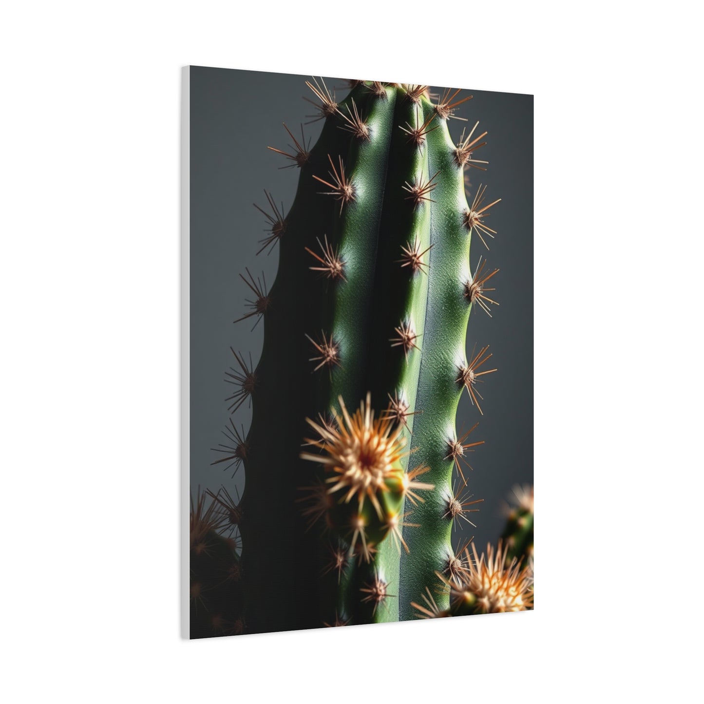 Thorned Tranquility Art Wall Art & Canvas Print