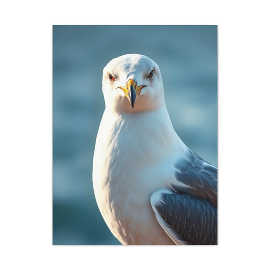 Sea Gull Art Supreme Canvas Wall Art & Canvas Print