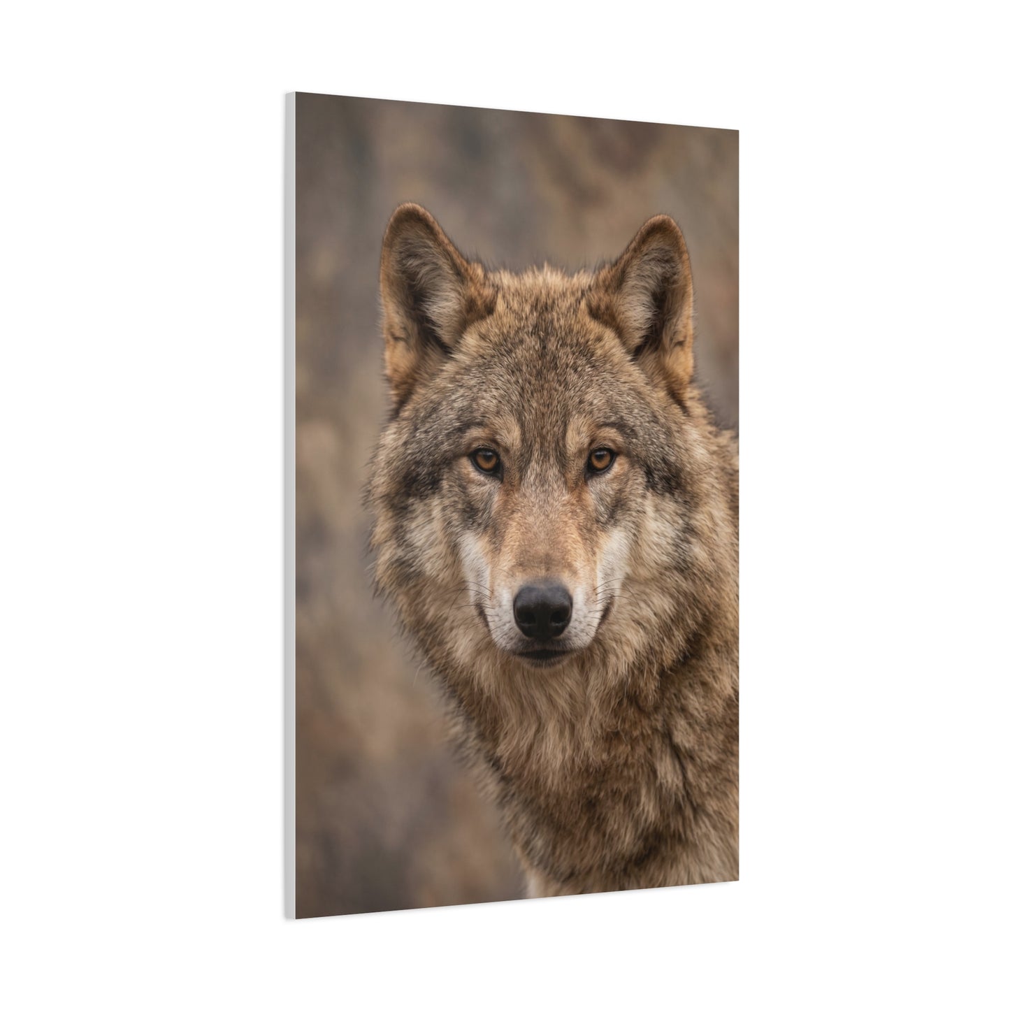 Natural Gray Wolf Close Portrait Wall Art & Canvas Print