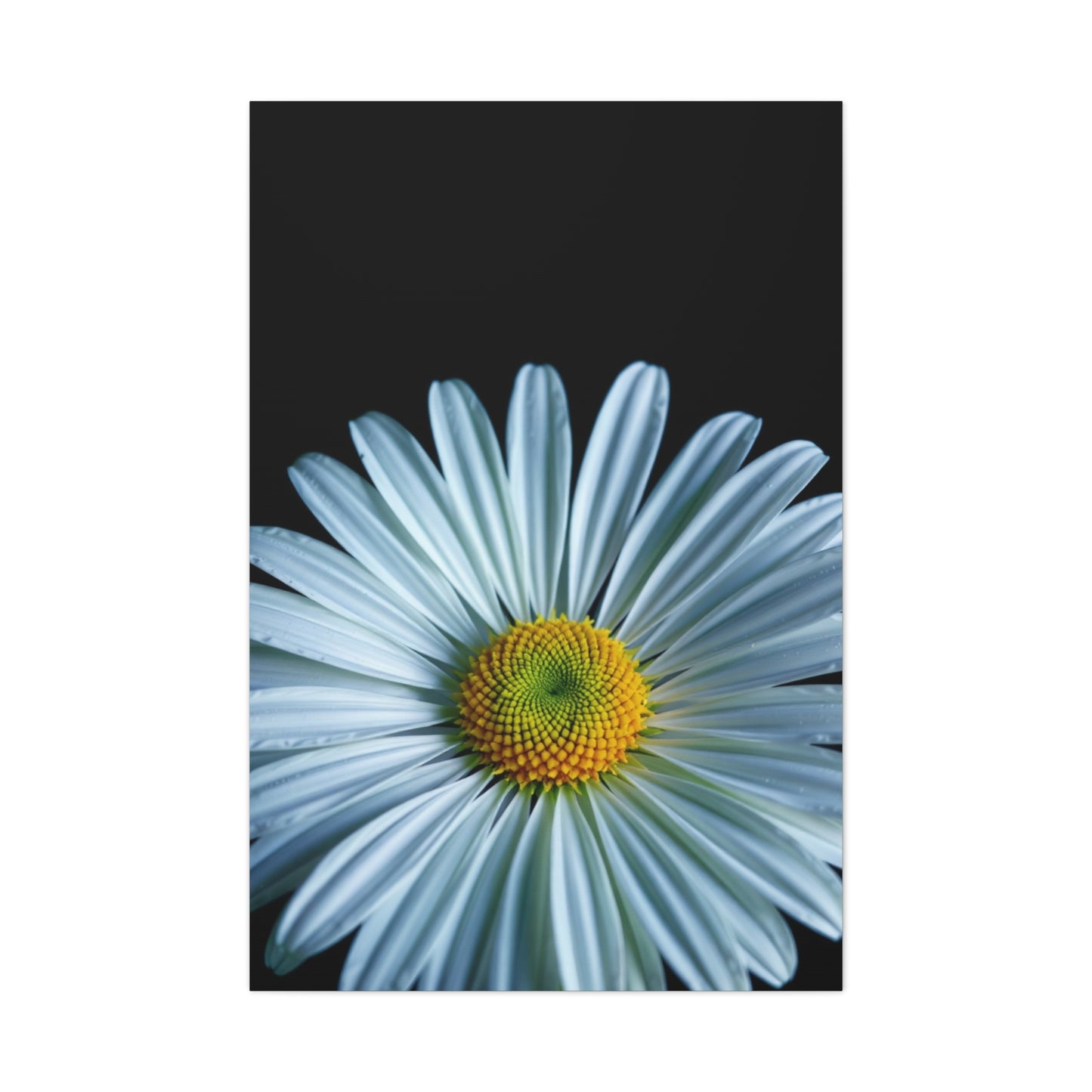 Majestic Meadow Elegance