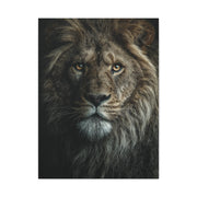Lion Close Portrait Intense Gaze Wall Art & Canvas Print