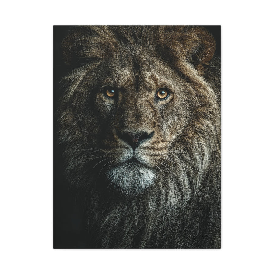 Lion Close Portrait Intense Gaze Wall Art & Canvas Print