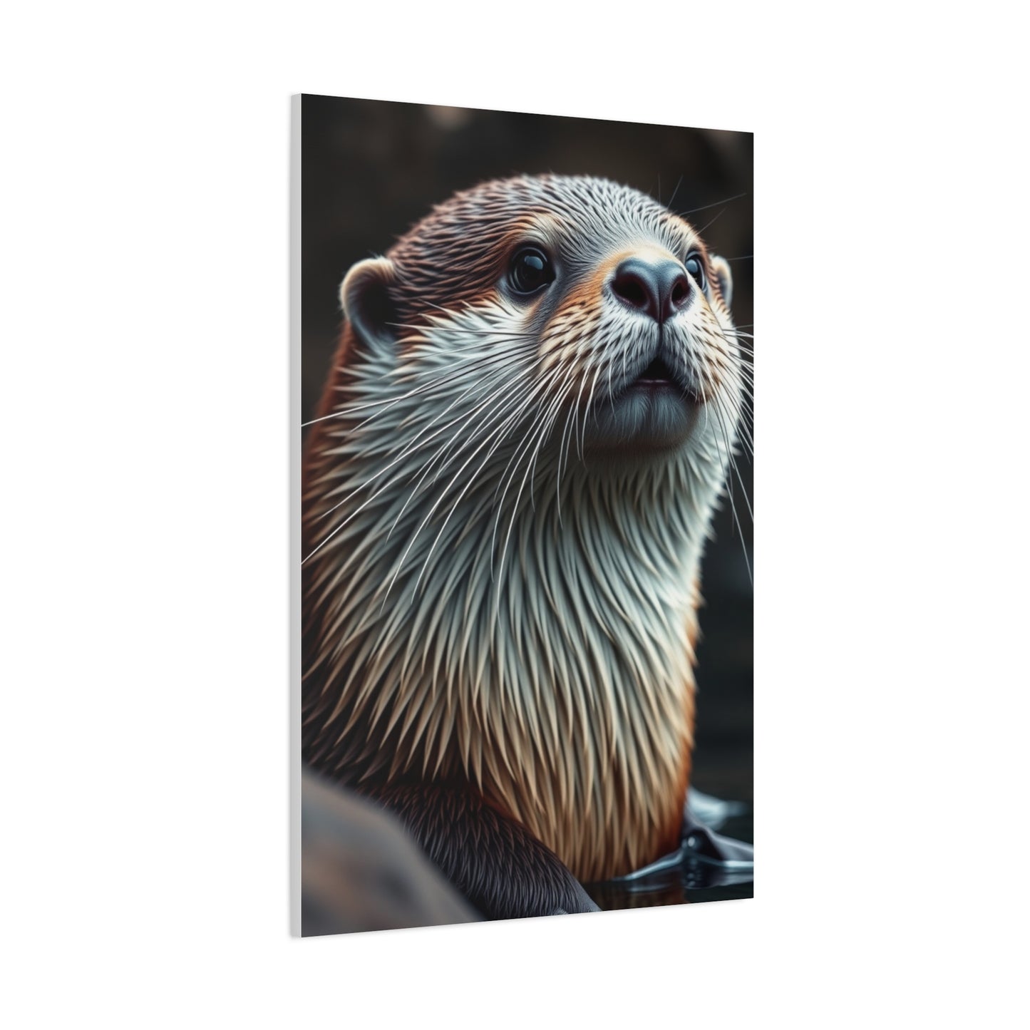 Supreme Otter Art Beautiful Collection Wall Art & Canvas Print