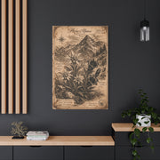 Antique Alpine Flora Engraving Wall Art & Canvas Print