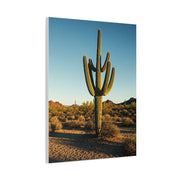 Desert Saguaro Sentinel Wall Art & Canvas Prints