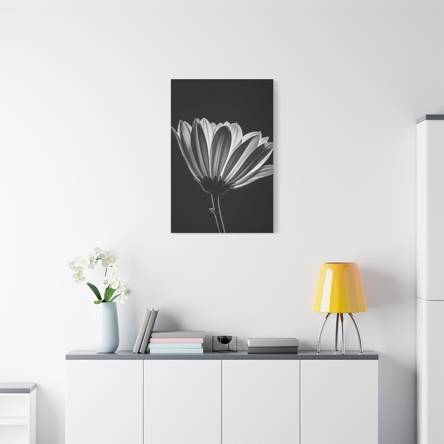 Classic Gerbera Bloom in Shadow Wall Art & Canvas Prints