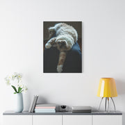 Copy of Copy of Copy of Copy of Copy of Copy of Copy of Copy of Matte Canvas, Stretched, 1.25"